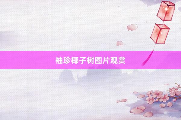 袖珍椰子树图片观赏