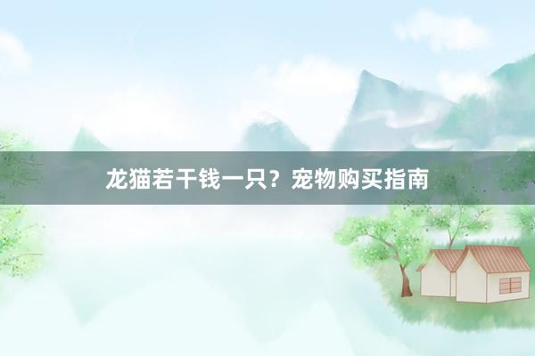 龙猫若干钱一只？宠物购买指南